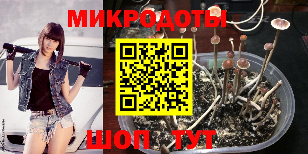 Псилоцибиновые грибы мицелий Видное